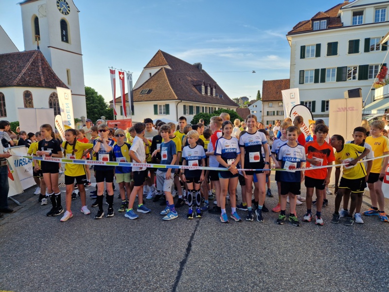 Rückblicke der Saison der Rookie Cats und Young Cats